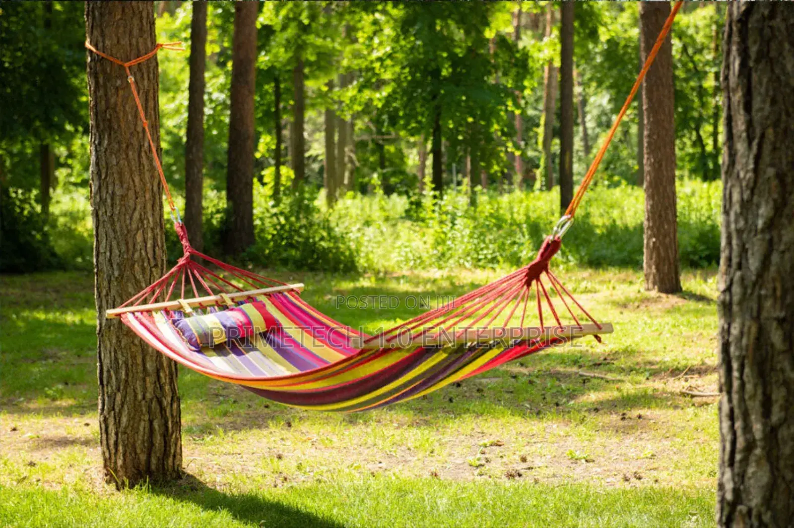 Hammock, Hammock