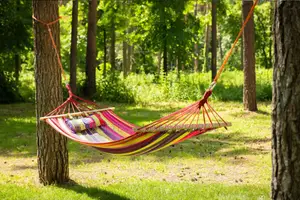Hammock, Hammock