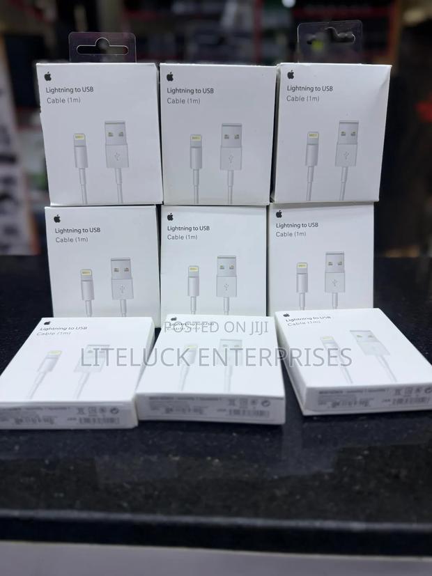 Type C to Lighting iPhone Cable - thumbnail 2