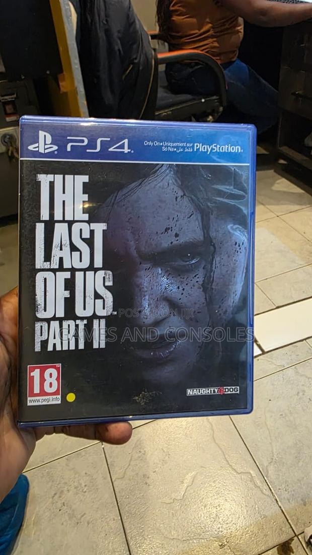 Last of Us Part 2 Ps4 - main view