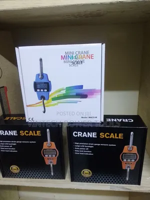 300 KGS Crane Scale