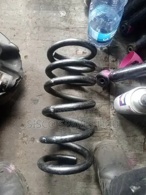Heavy Duty Coil Springs For Noah