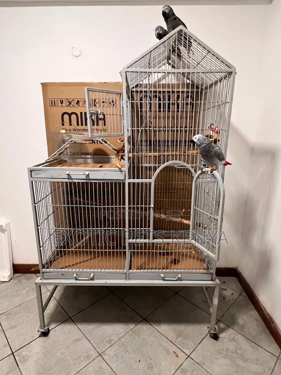 Large Imported Parrot Cage