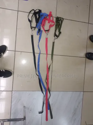 Dog Leash Medium