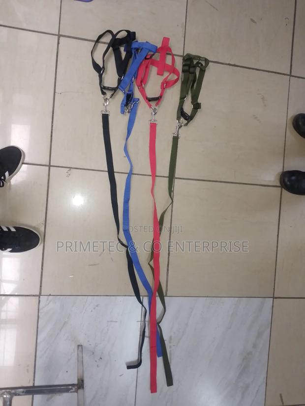 Dog Leash Medium