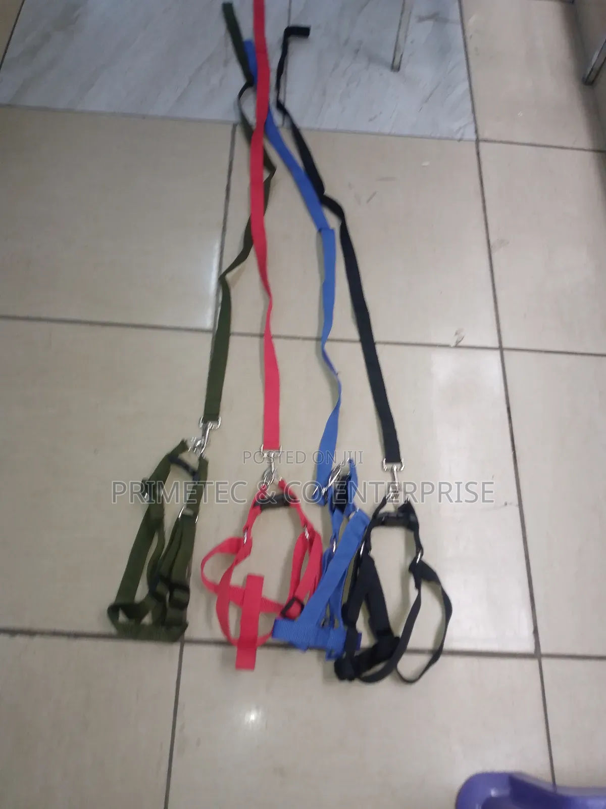 Dog Leash Medium