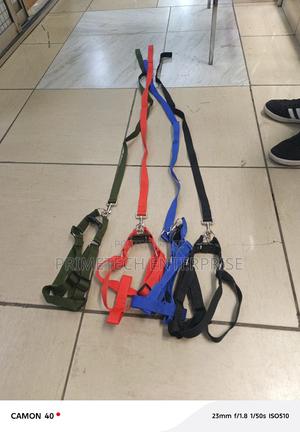 Medium to Medium Dogleash - thumbnail 2