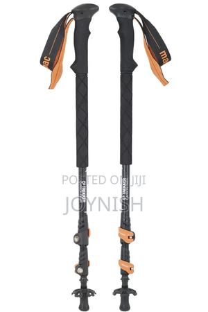 Hiking Sticks - main view