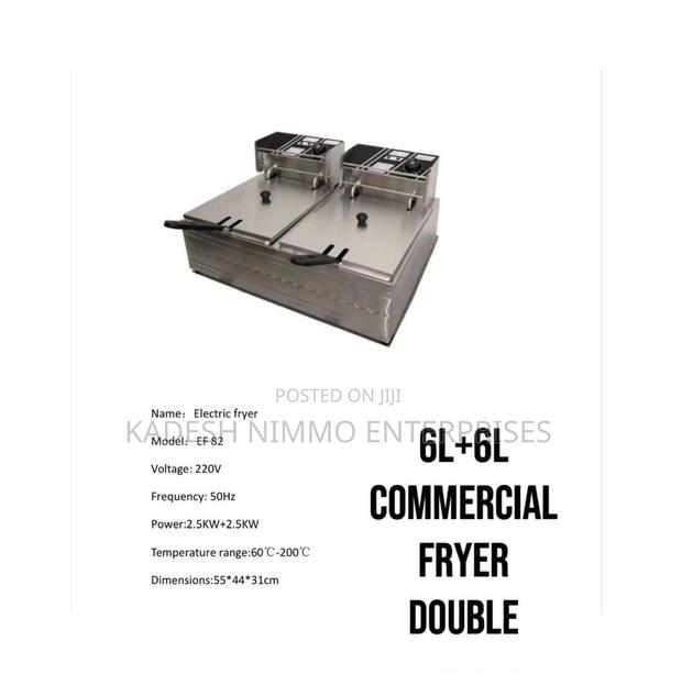 Heavy Duty Fryer - main view