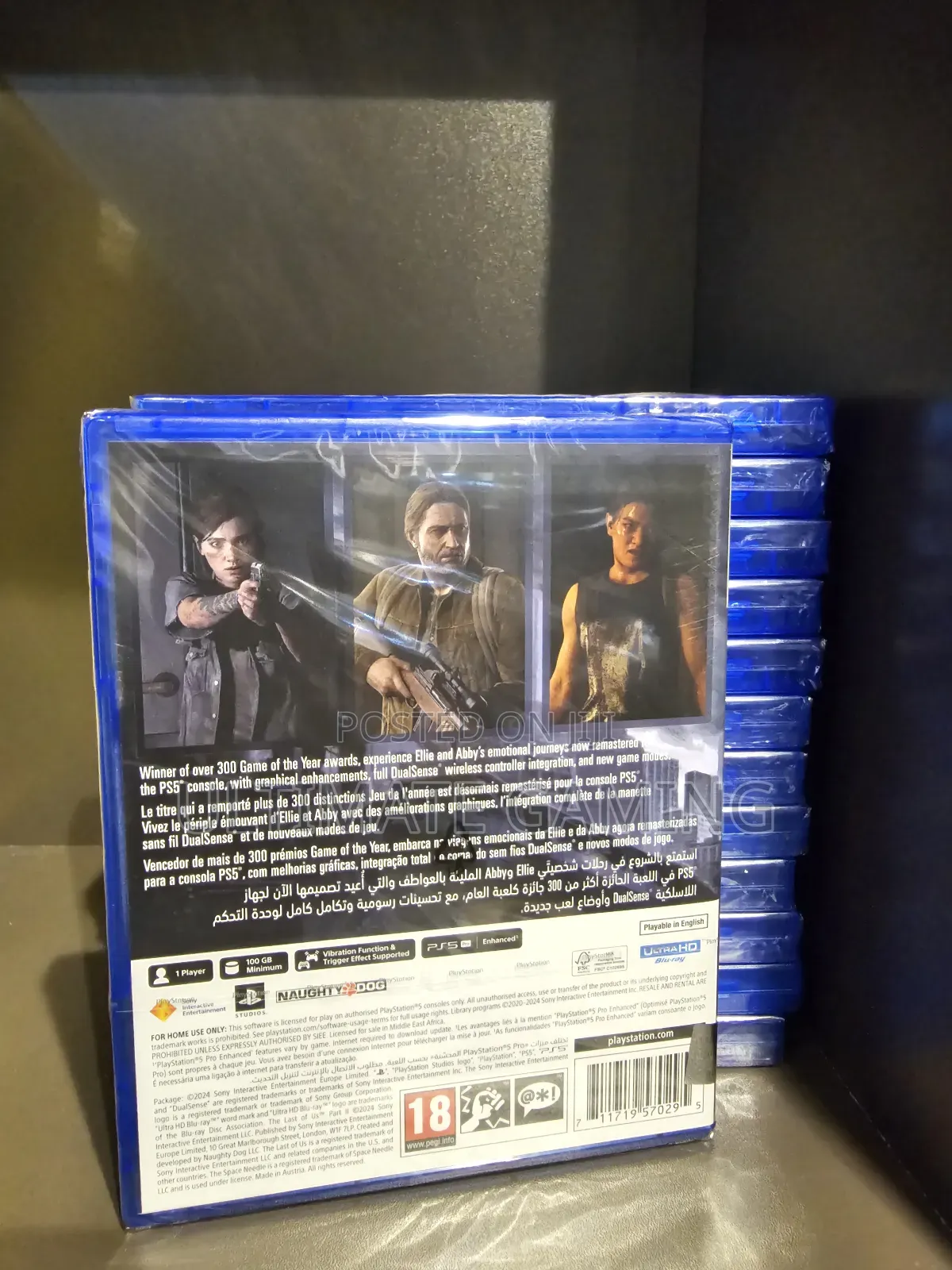 Ps5 the Last of Us 2