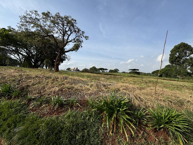 50x100 Migaa Golf Estate Plot - thumbnail 8