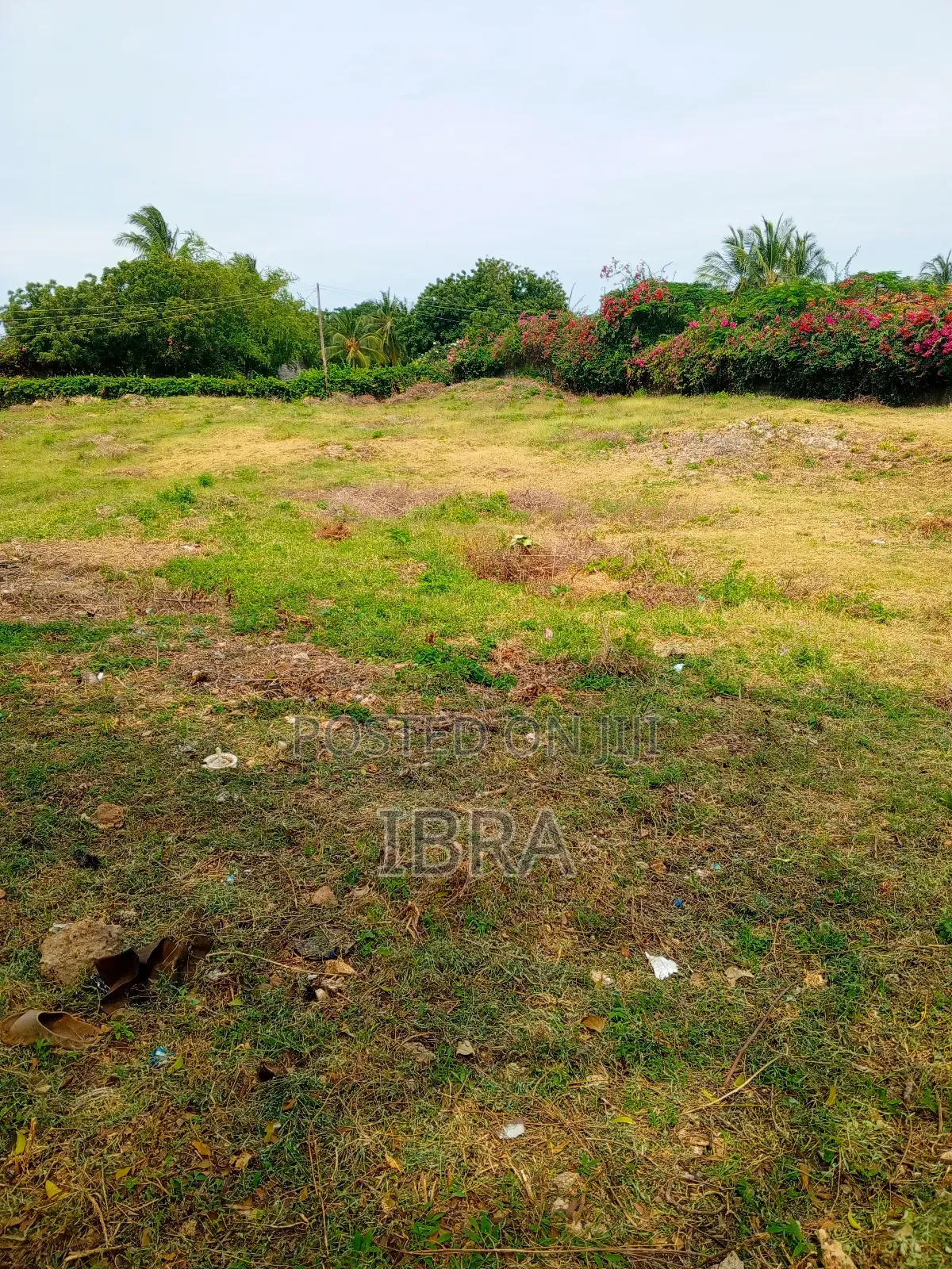 Half Acre Plots