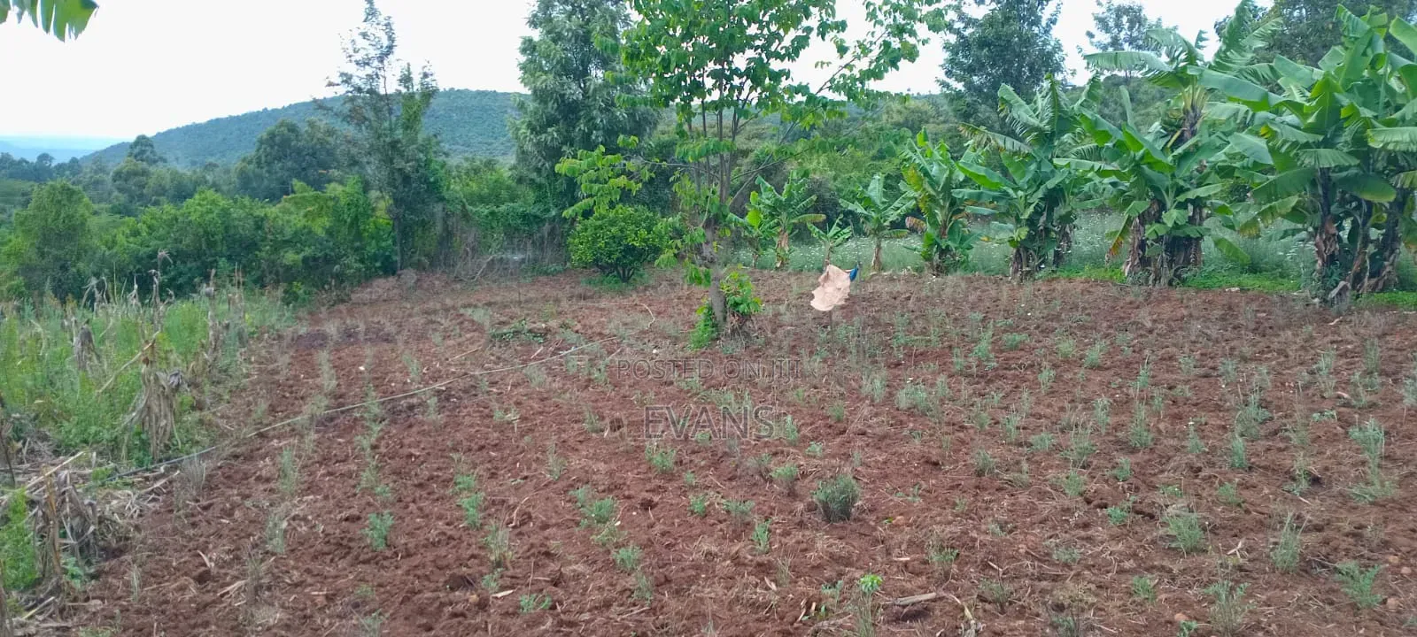 Land for Sale 3 Acres Touching a River at Diatomite Gilgil