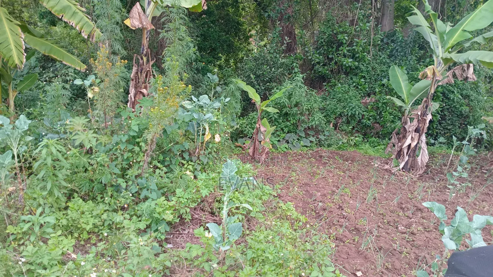 Land for Sale 3 Acres Touching a River at Diatomite Gilgil
