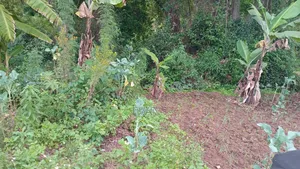 Land for Sale 3 Acres Touching a River at Diatomite Gilgil