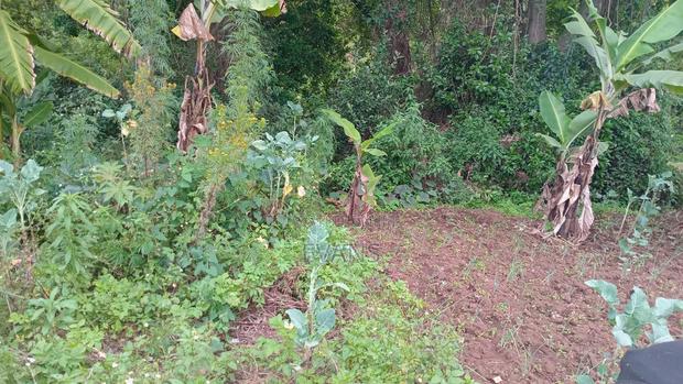 Land for Sale 3 Acres Touching a River at Diatomite Gilgil - thumbnail 4