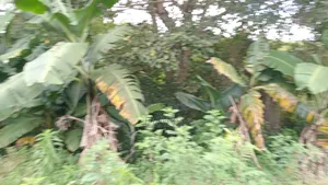 Land for Sale 3 Acres Touching a River at Diatomite Gilgil