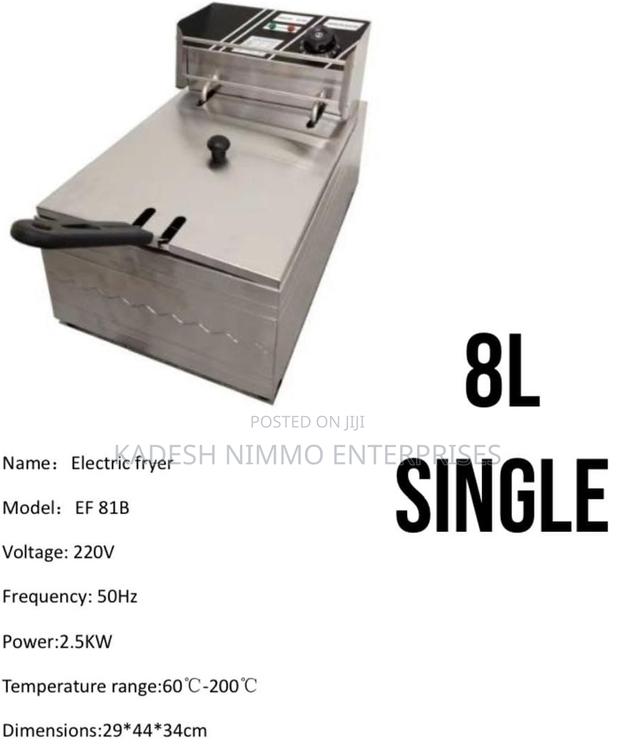 Ef81b Electric Fryer