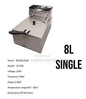 Professional Deep Fryer