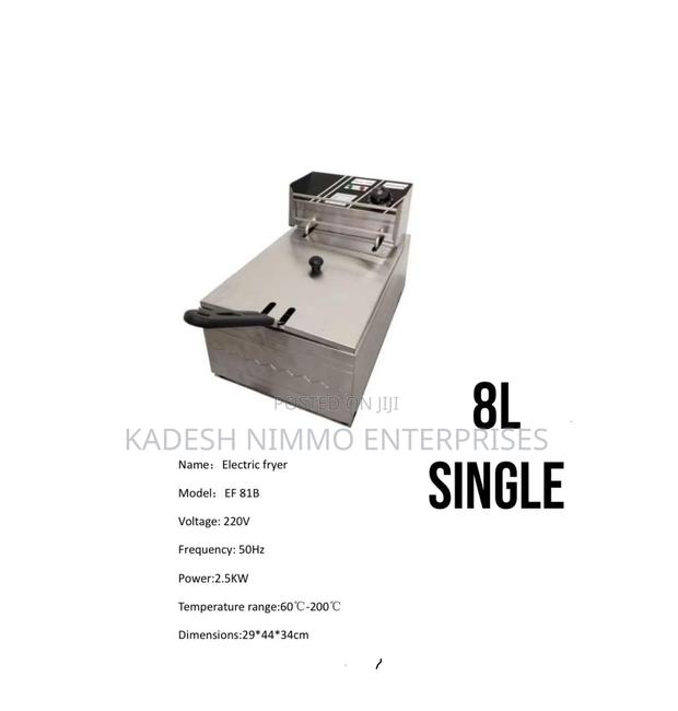 Premium Ef81b Fryer - main view