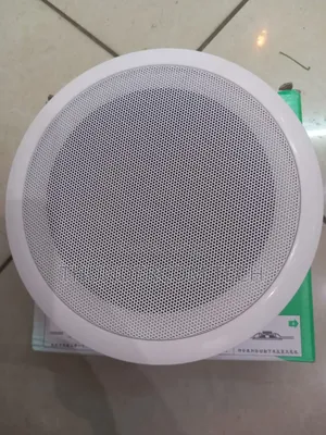 Ceiling Speakers