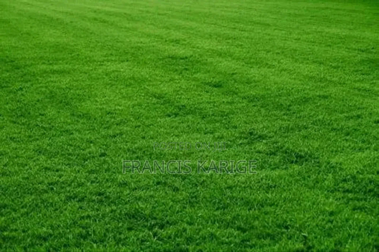 Landscaping Company