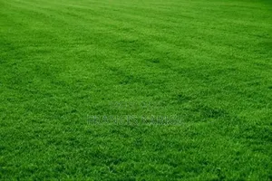 Landscaping Company