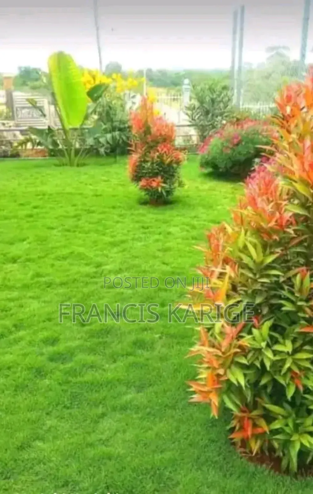 Landscaping Company