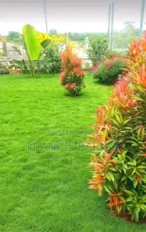 Landscaping Company