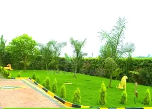 Landscaping Company