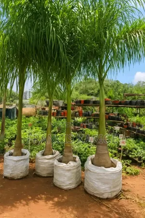 Landscaping Company