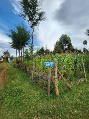 1⁄8plot in Museveni Area Nyahururu - thumbnail 2