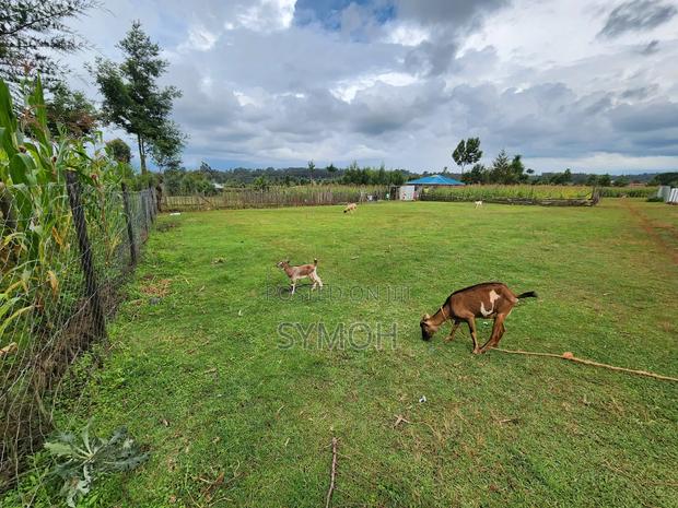 1⁄8plot in Museveni Area Nyahururu - thumbnail 4