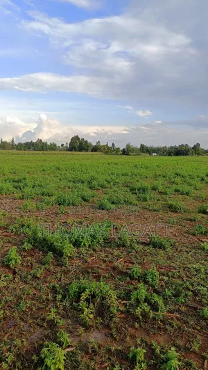 Eldoret Illula Residential Plots on Sale