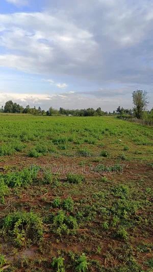 Eldoret Illula Residential Plots on Sale