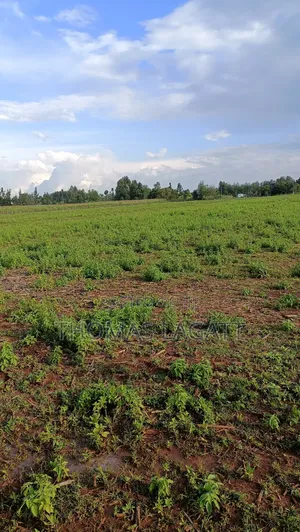 Eldoret Illula Residential Plots on Sale