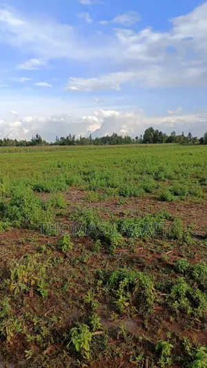 Eldoret Illula Residential Plots on Sale