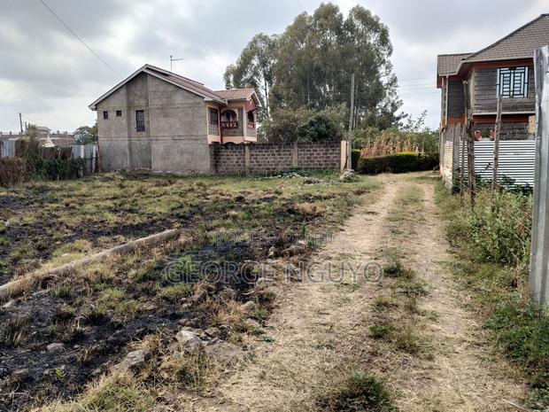 40 by 60 Plot - main view