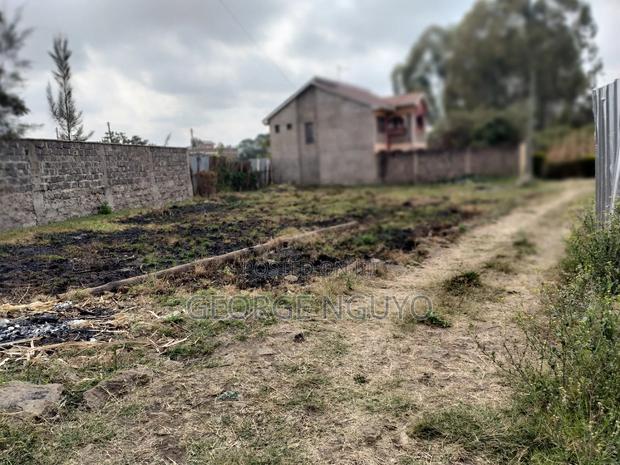 40 by 60 Plot - thumbnail 3