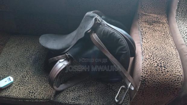 Horses Riding Equipment - thumbnail 17