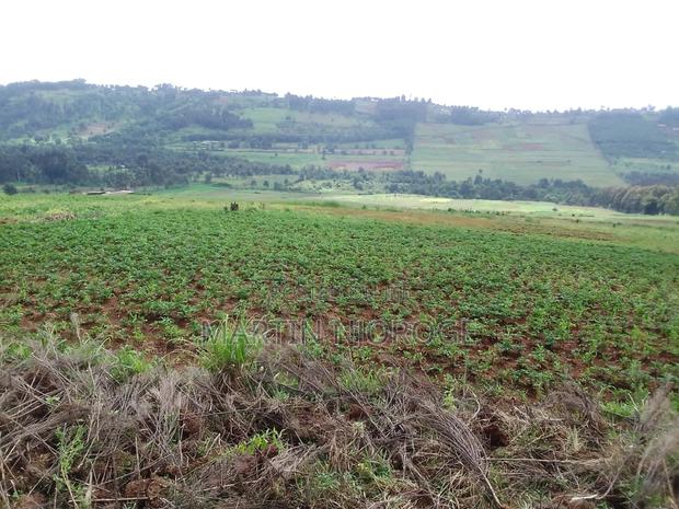 62 Acres Tumaini - thumbnail 3