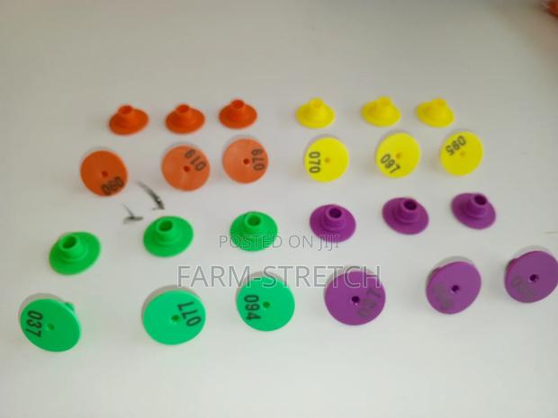 Pig Round Ear Tags - main view