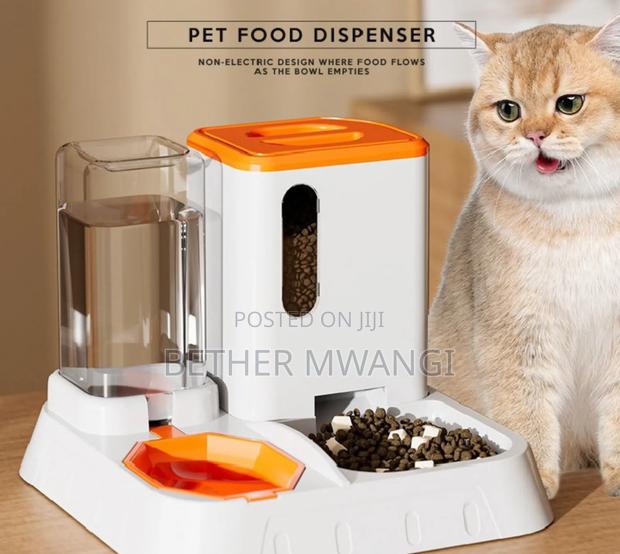 Pet Food Dispenser in Kenya - main view