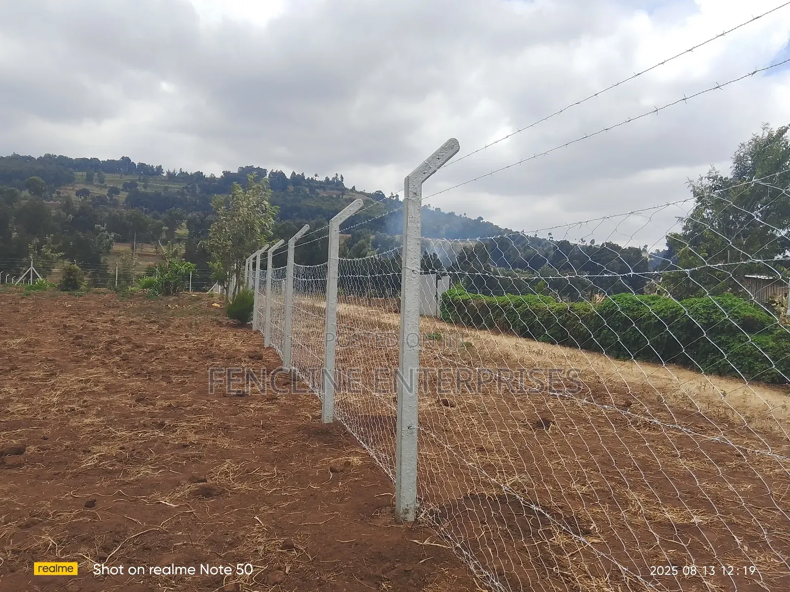 Concrete Posts + Chain Link Fencing