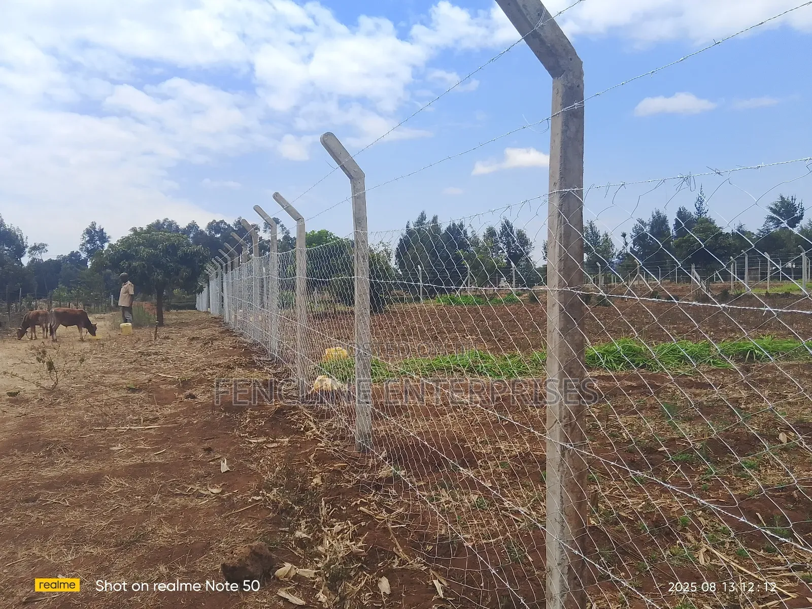 Concrete Posts + Chain Link Fencing