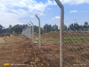 Concrete Posts + Chain Link Fencing