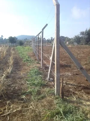 Concrete Posts + Chain Link Fencing