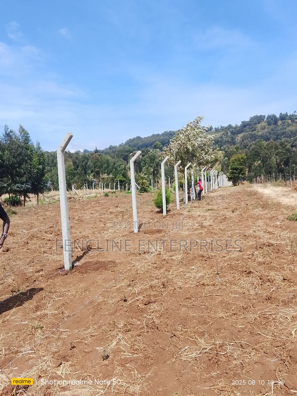 Concrete Posts + Chain Link Fencing