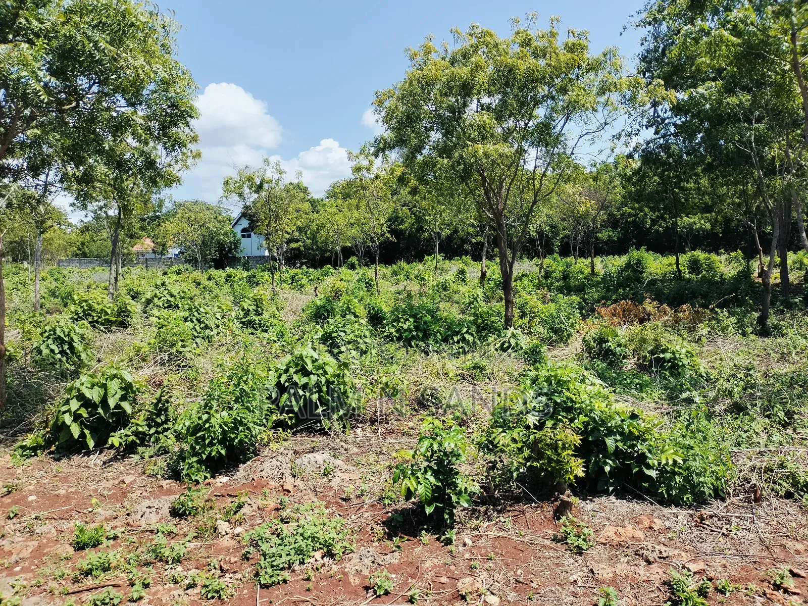 Diani Half Acre Land Near Nomads Beach