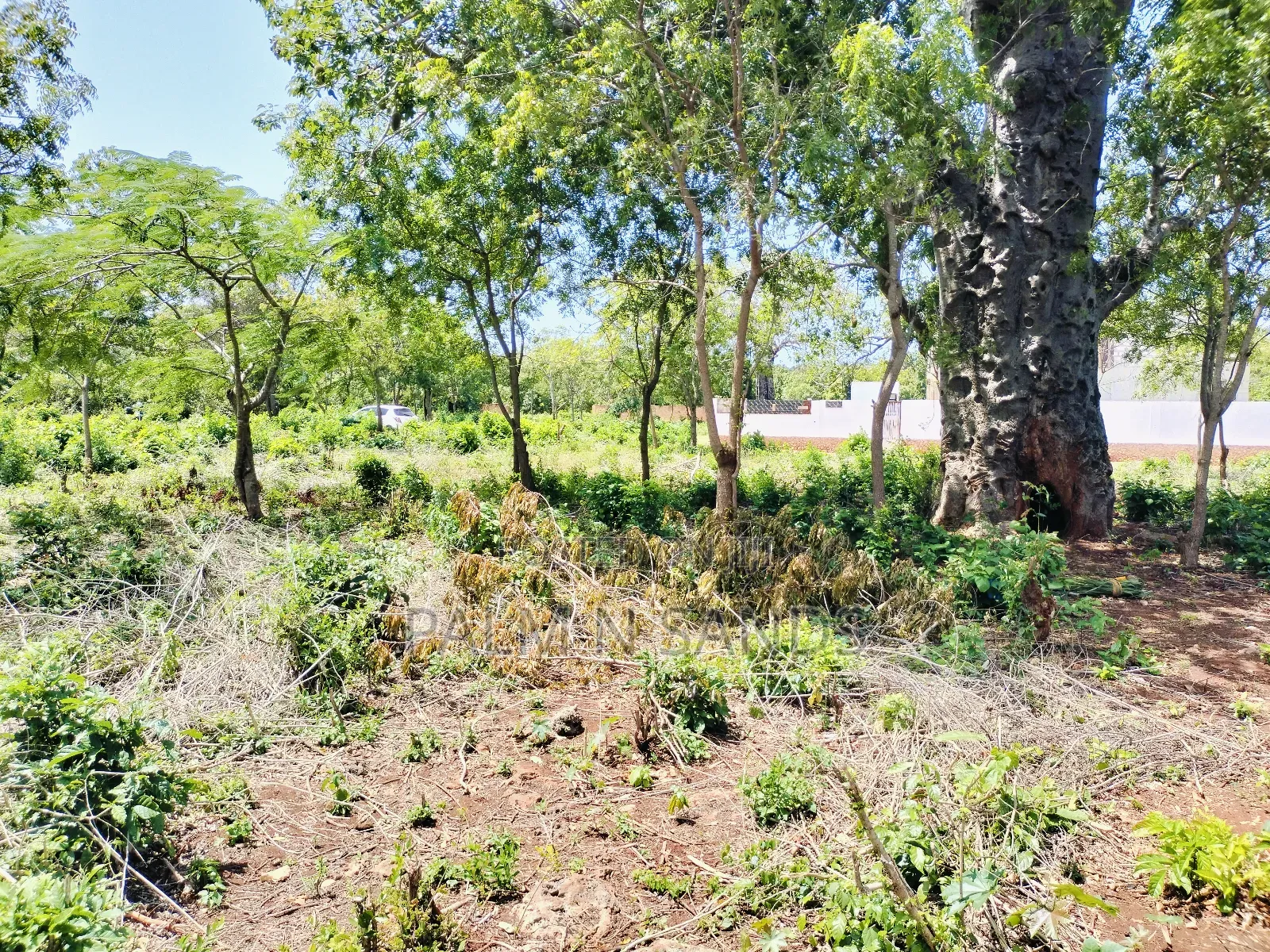 Diani Half Acre Land Near Nomads Beach